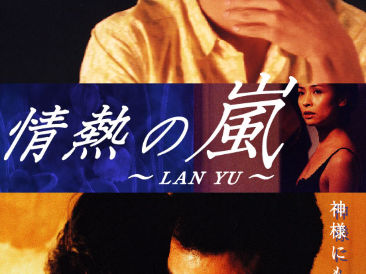 情熱の嵐 ~LAN YU~ [DVD] DVD 情熱の嵐~LAN YU~+ファンブック セット